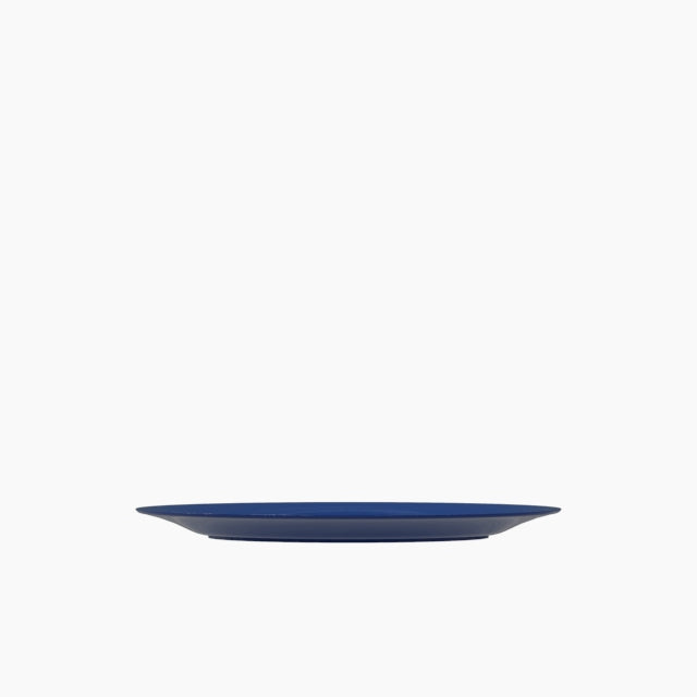 Pack de 6 Assiettes Plates Incassables En Polycarbonate Diamètre 220
