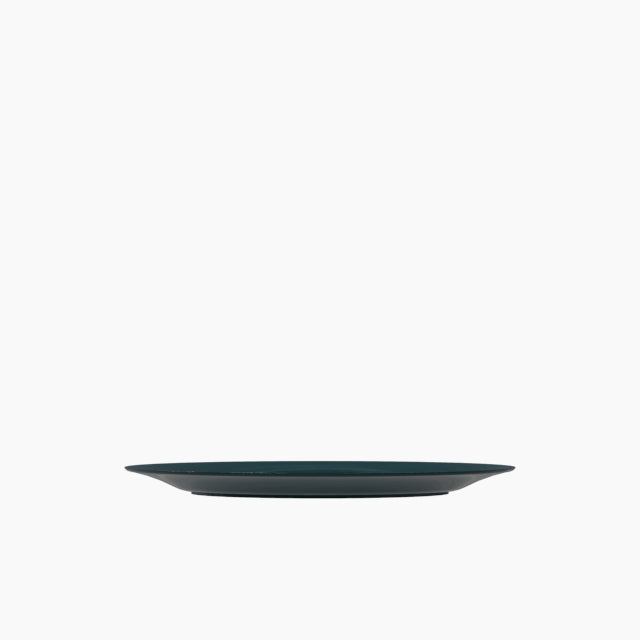 Pack de 6 Assiettes Plates Incassables En Polycarbonate Diamètre 220